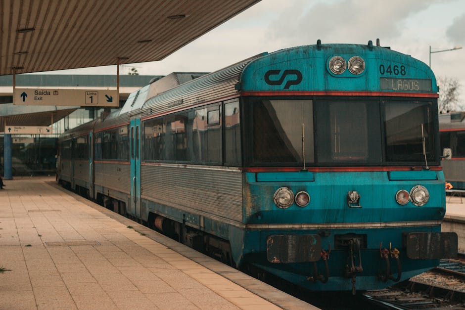 Курсы программирования и веб-дизайна