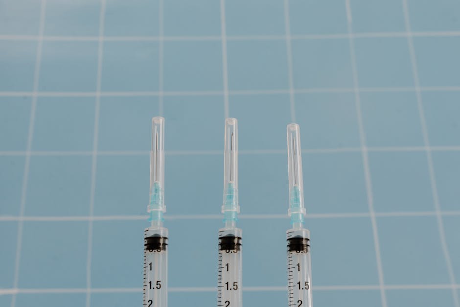 Курсы программирования и веб-дизайна